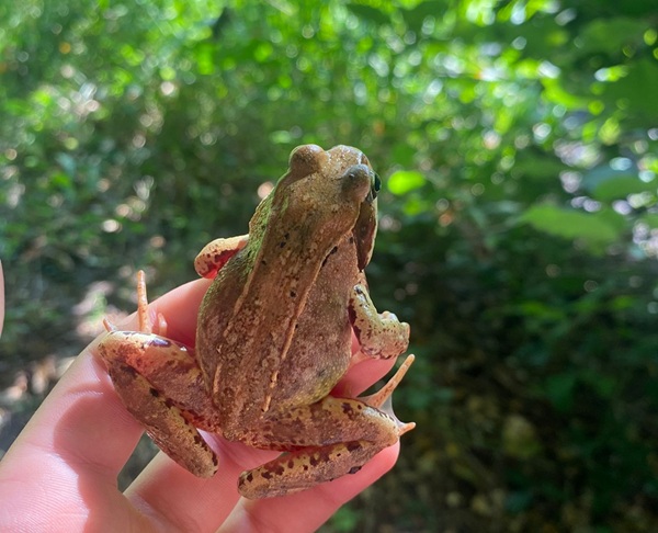 Aufregende Sommerferien am Heiligen Meer